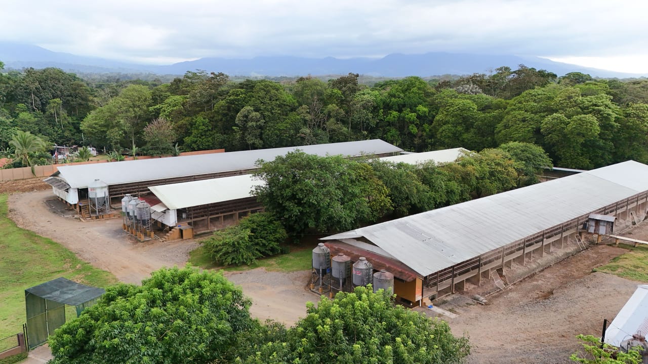 Vista aérea de Granja Las Lomas entre el bosque, con las montañas al fondo